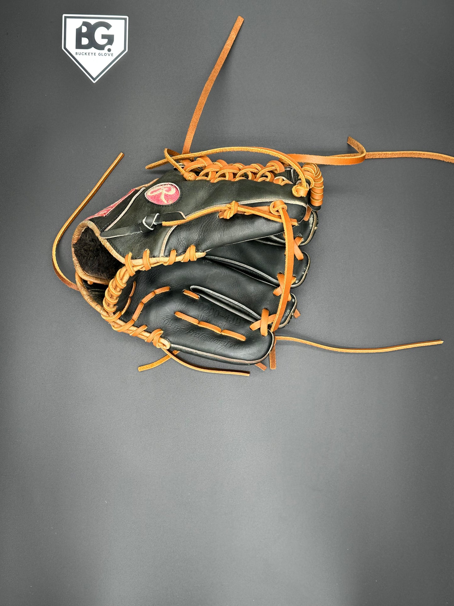 Gold Glove Service - 1st / Catcher / Trapeze Web