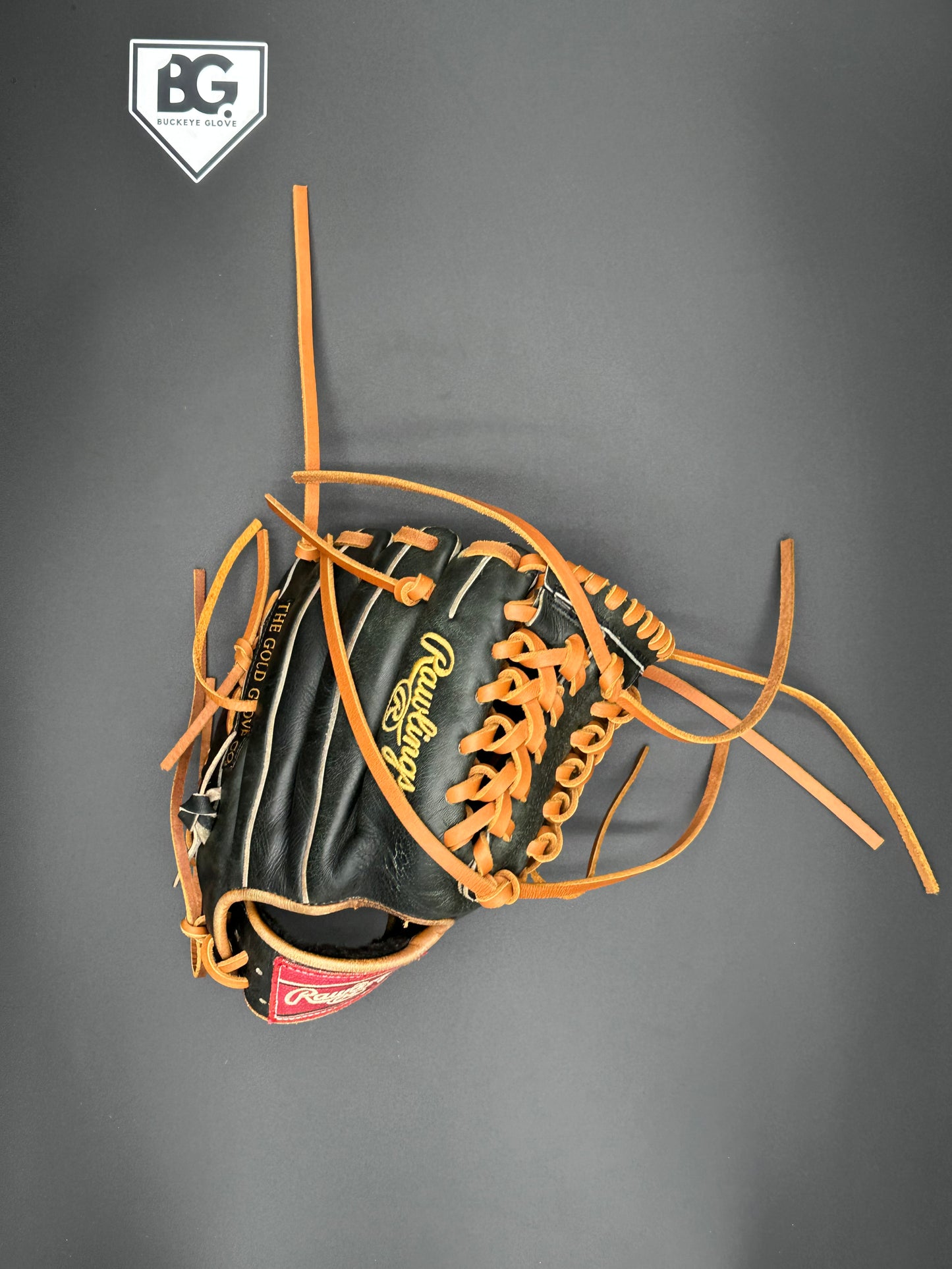 Full Relace 1st Base / Catcher / Trapeze Web