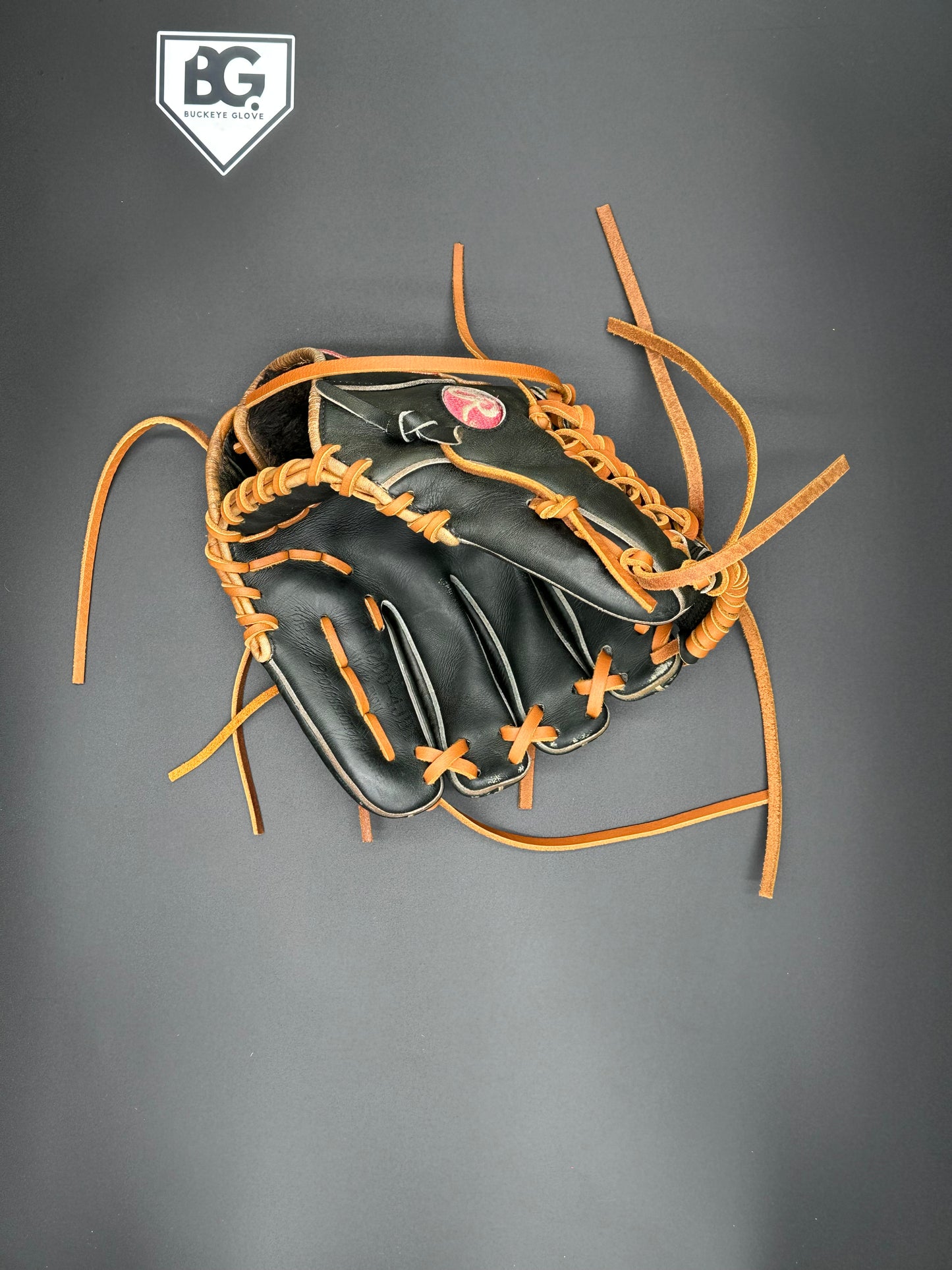 Full Relace 1st Base / Catcher / Trapeze Web